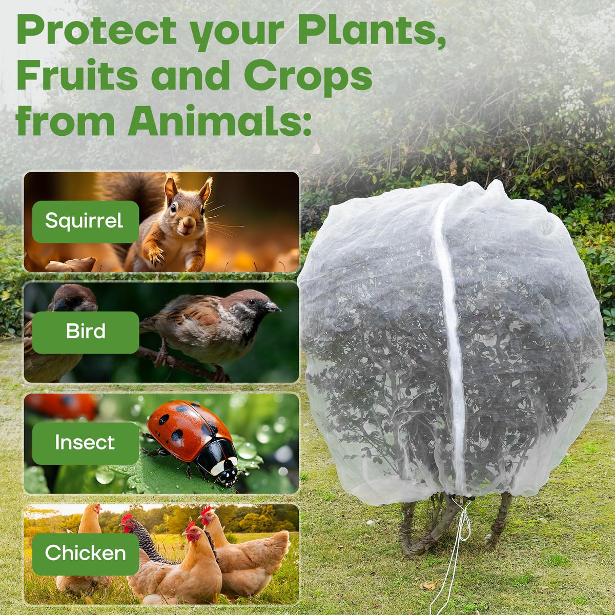CHNENOMME 2-pack plant covers fit large shrubs and small trees.