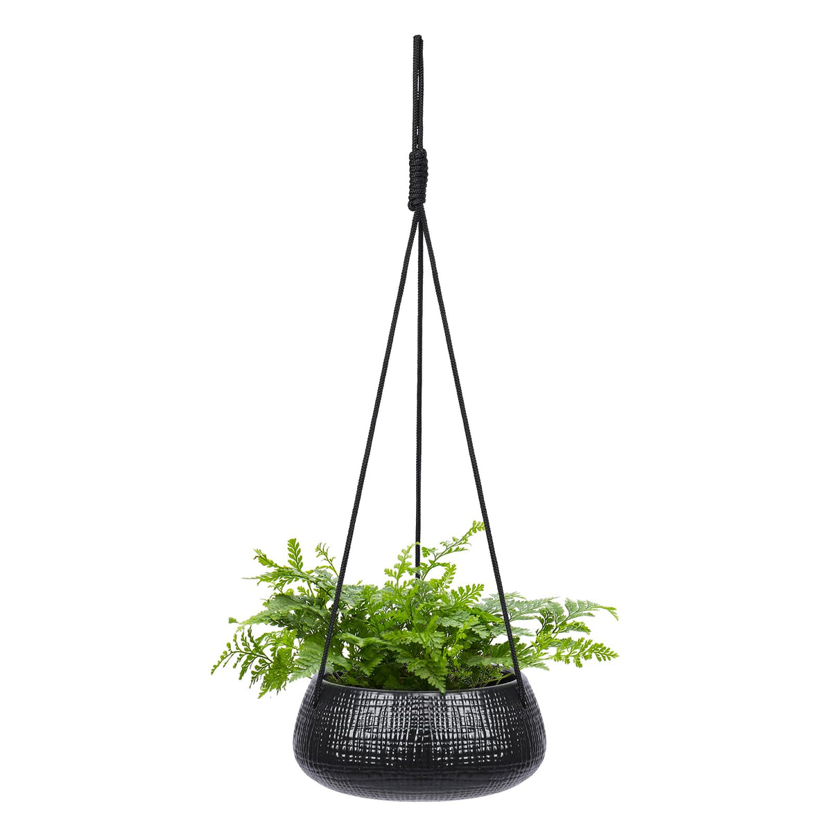Chonsun 8inch hanging planter in black gloss ideal for indoor greenery.
