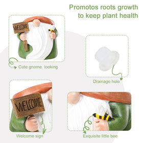 Chonsun snake-plant-pot-gnome supports healthy growth with stylish charm.