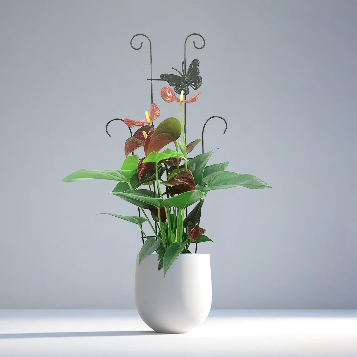 CHOUYUHE stackable-design trellis grows with the plant height
