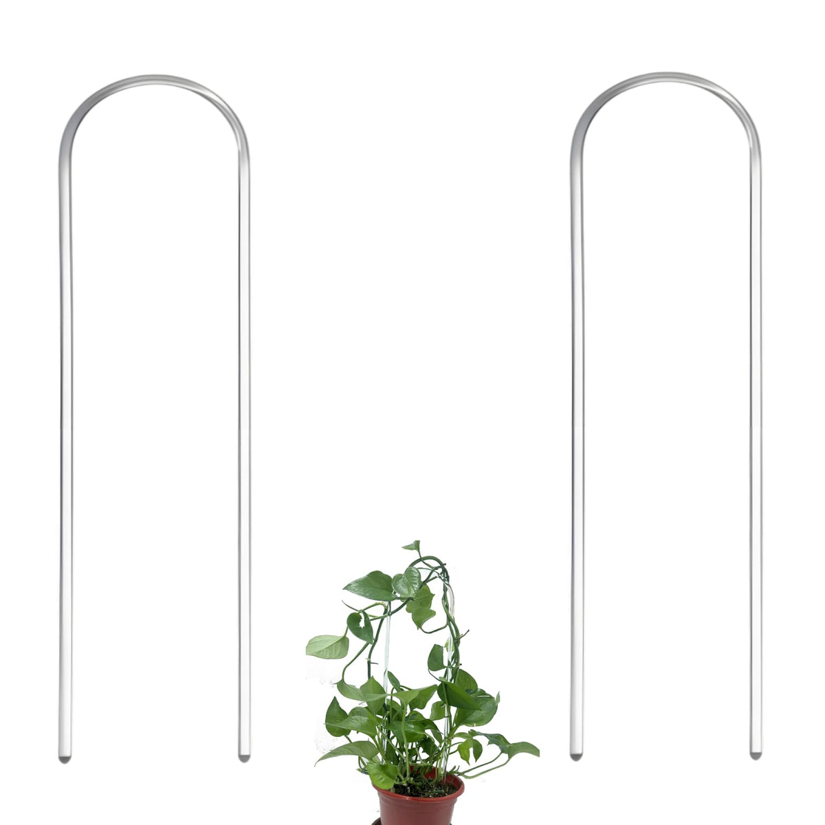CHOUYUHE U-Shaped clear acrylic plant support elevates ivy displays indoors