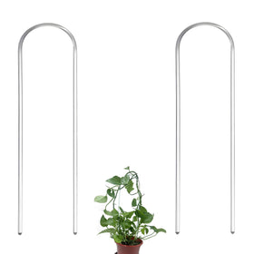 CHOUYUHE U-Shaped clear acrylic plant support elevates ivy displays indoors