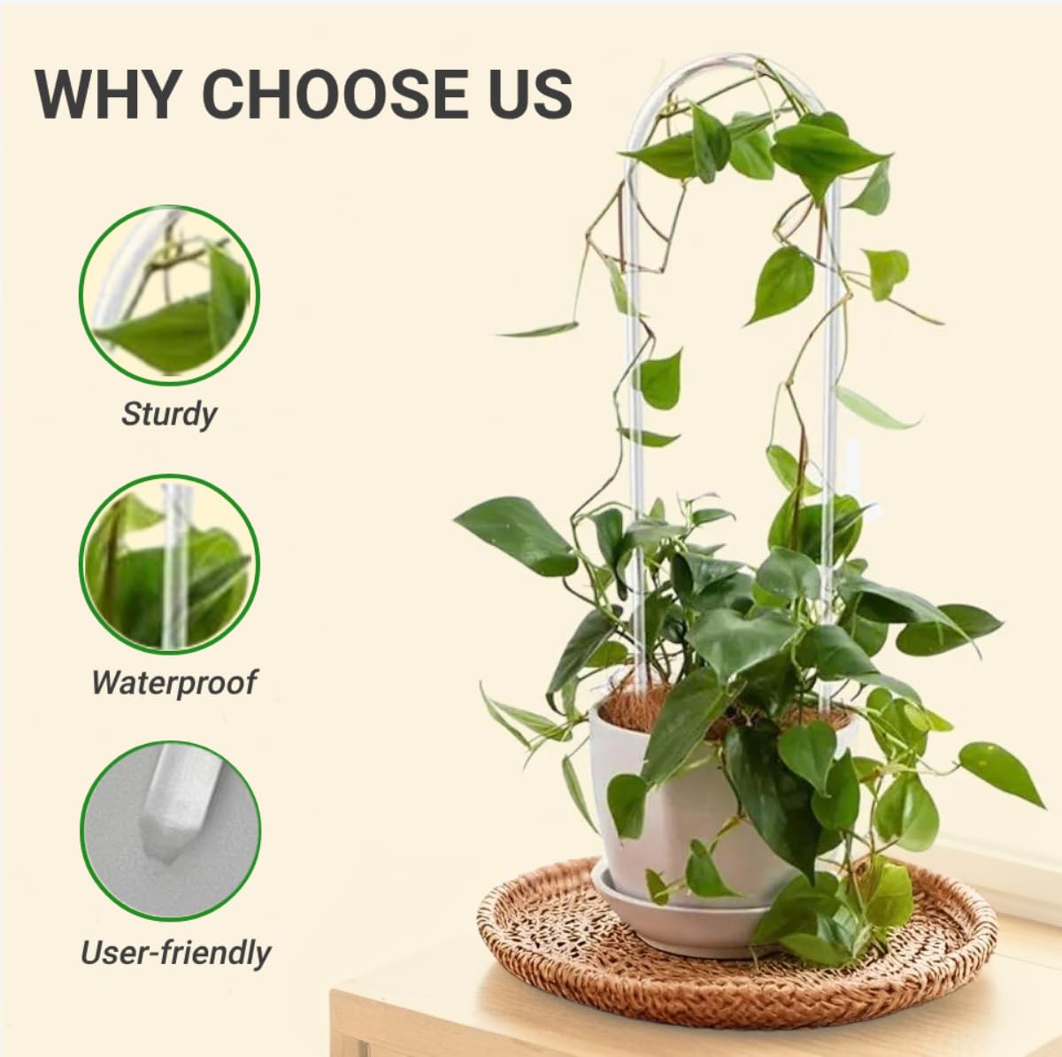 CHOUYUHE plant supports with safe tips prevent rust while securing tender vines