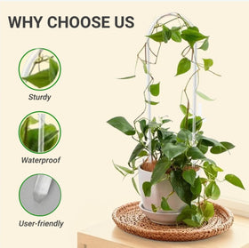 CHOUYUHE plant supports with safe tips prevent rust while securing tender vines