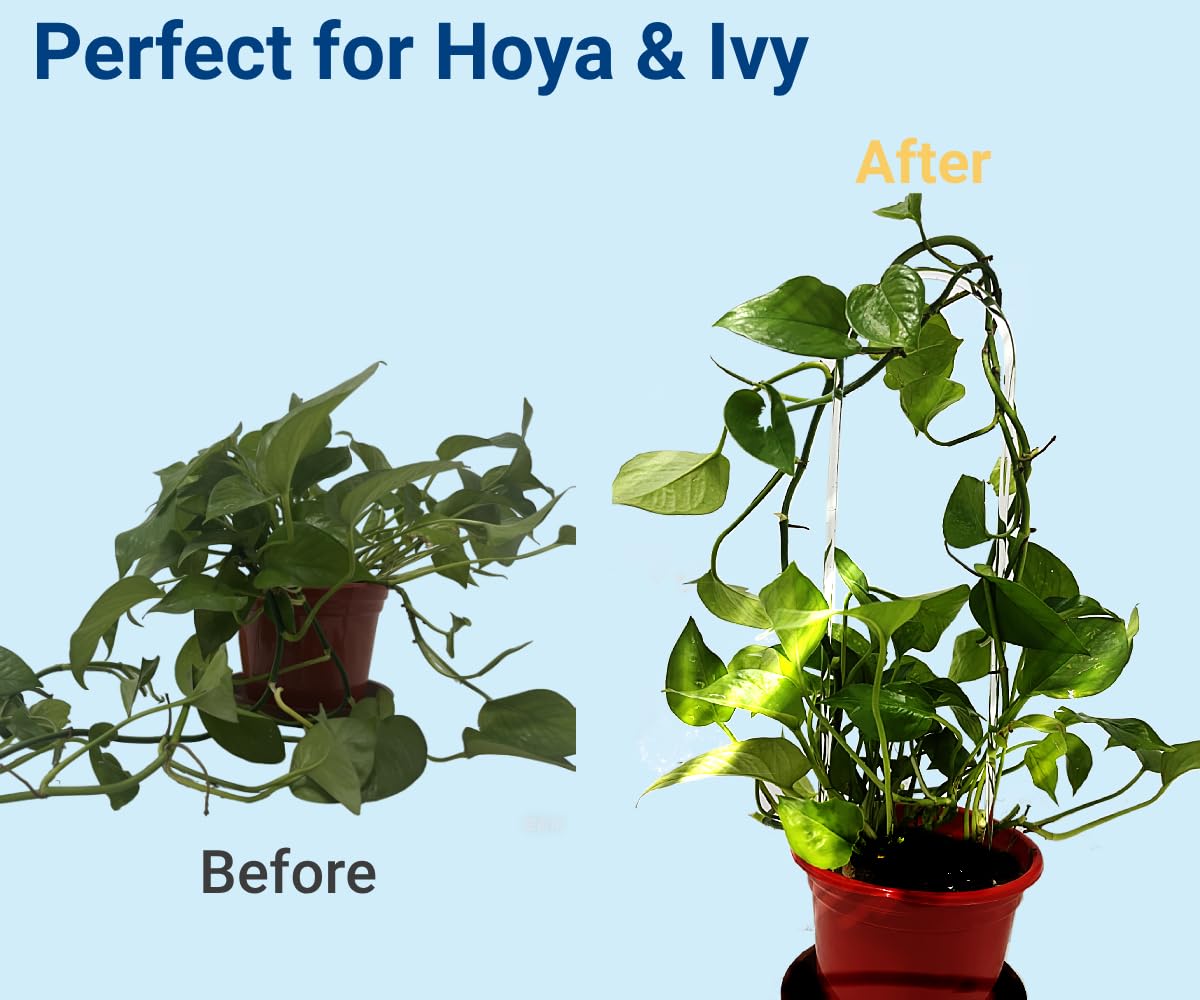 CHOUYUHE arches and grids for versatile plant layouts