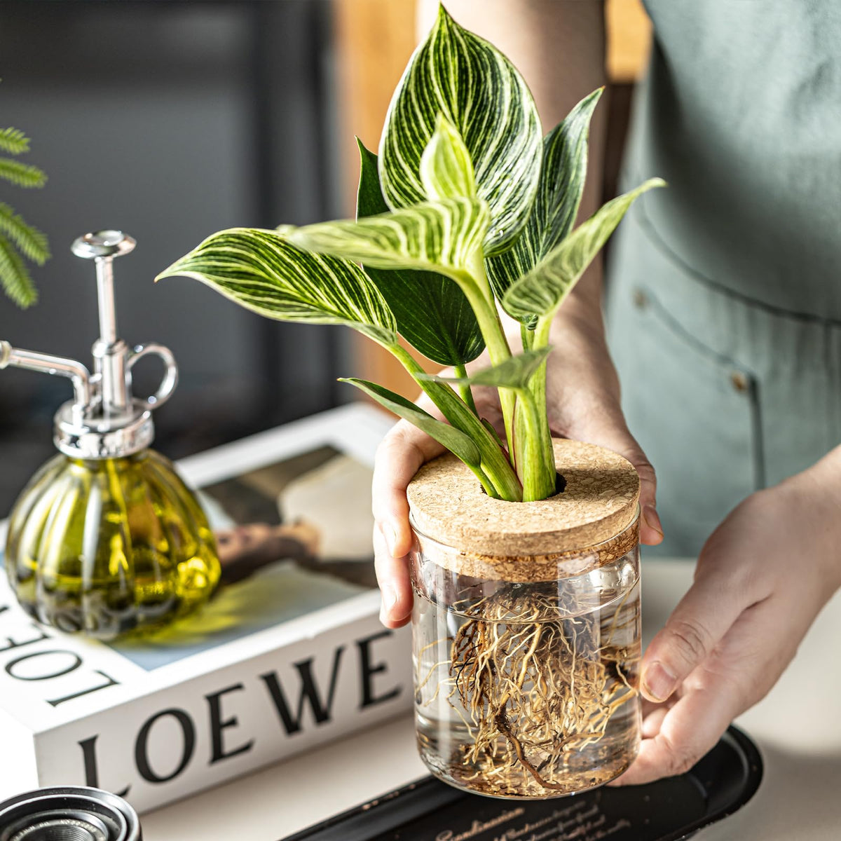 CHPINDAM desktop propagation vase versatile decor for home or office