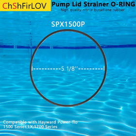ChShFirLOV Hayward Power-Flo pump lid O-ring showing replacement part