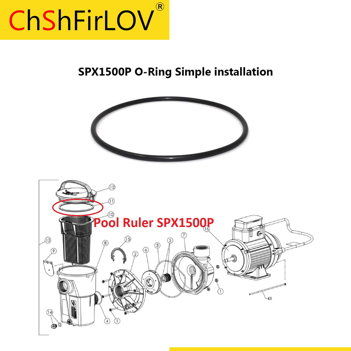 ChShFirLOV SPX1500P replacement strainer O-ring in a box