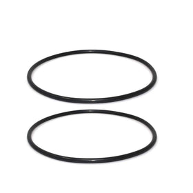 ChShFirLOV SPX1500P strainer cover O-ring 2-pack seals the lid clearly