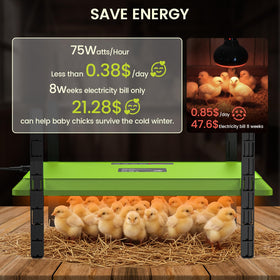 Chtooocy height-adjustable legs enable flexible brooder positioning for growing chicks.