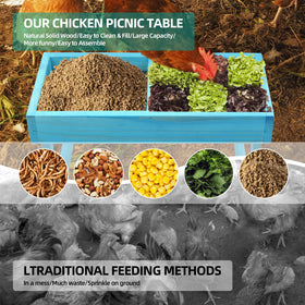 CHTSJQW chicken picnic table blue side view highlights compact footprint for easy placement.