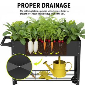 Chuangshuo Guard Elevate dual-layer drainage system prevents waterlogging and supports roots.