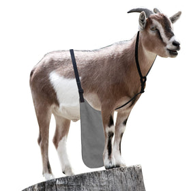 Chuanke anti-breeding buck apron with chest strap for secure use during mating season