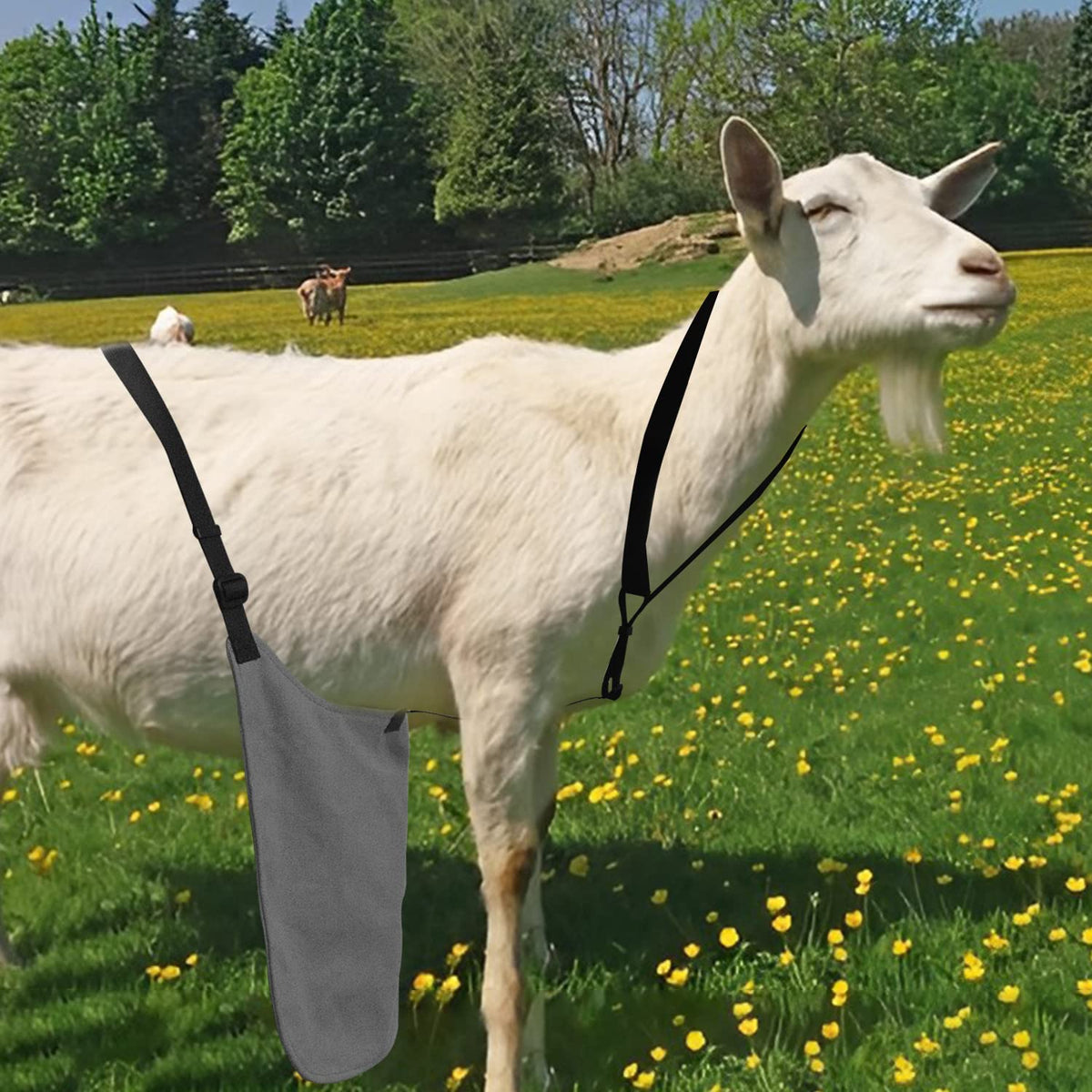 Chuanke multipurpose apron protects face, mouth, and feet during mating season