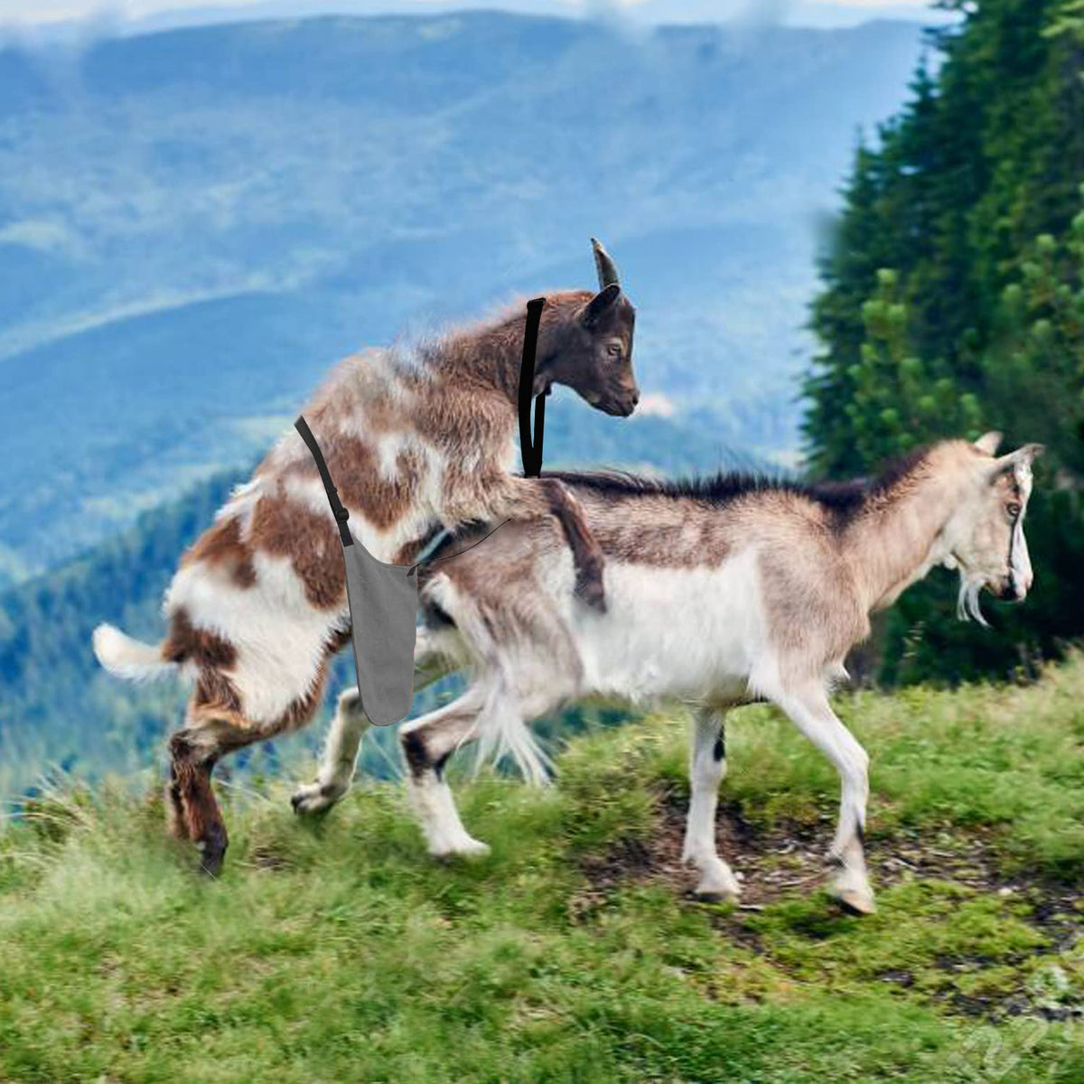 Chuanke two-section buckles provide secure, slip-free fastening