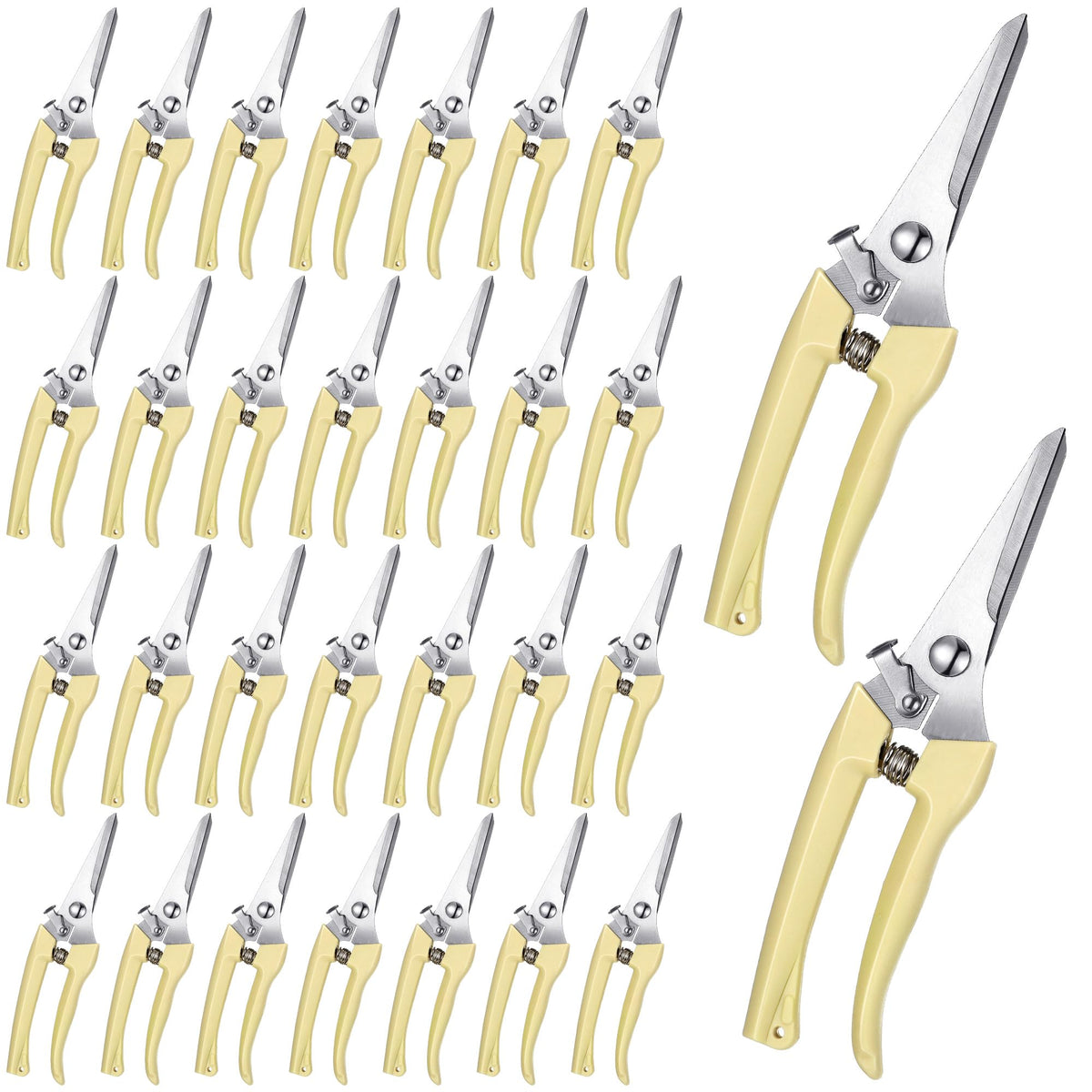 Chumia garden flower shears beige handles for easy pruning of delicate blooms