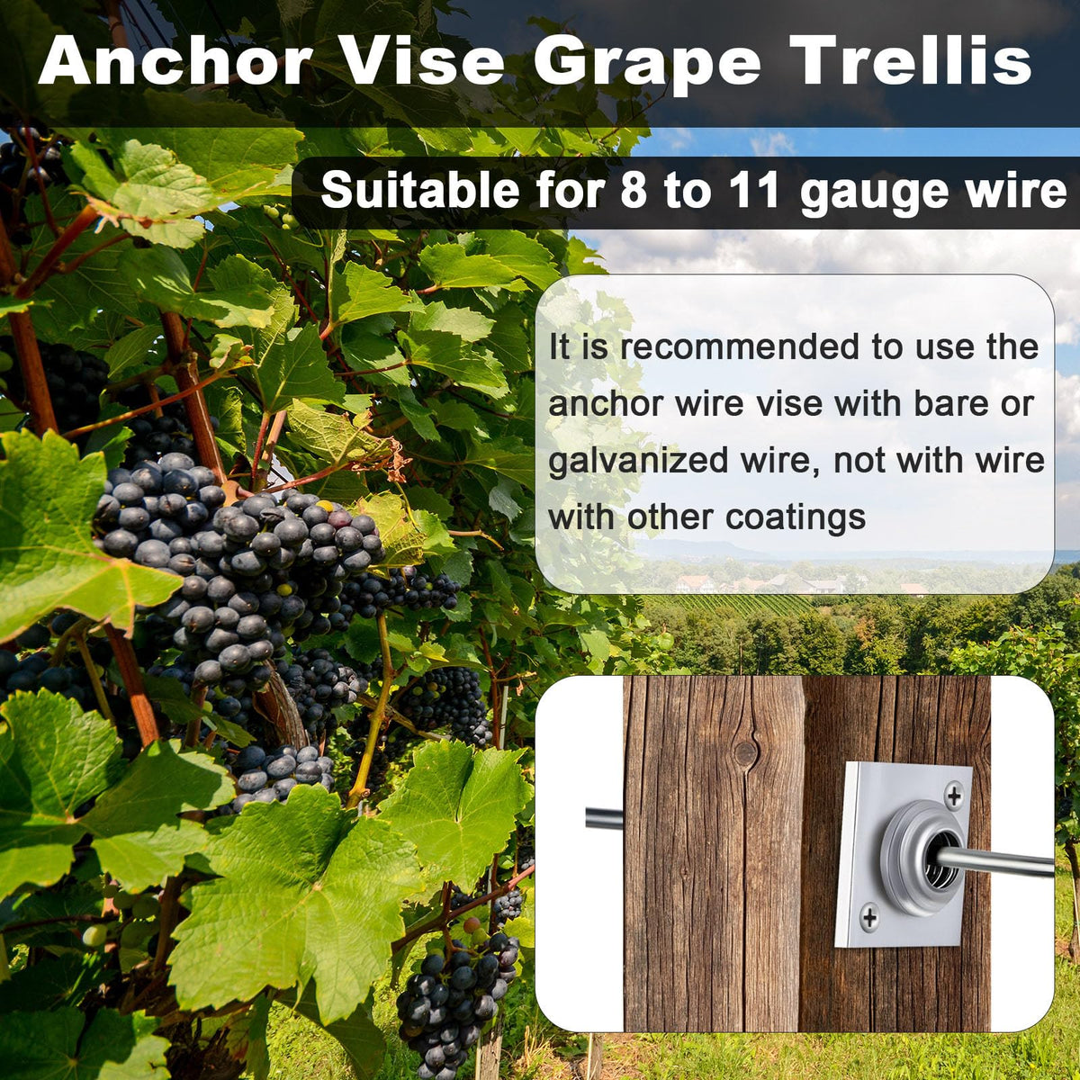 Chumia anchor vise used in trellis-build demonstrates reliable wire placement