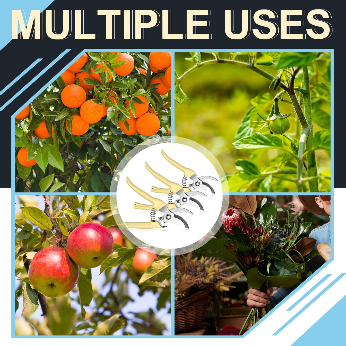 Chumia pruning for flowers and fruit trees keeps beds tidy and organized