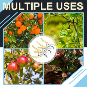 Chumia pruning for flowers and fruit trees keeps beds tidy and organized