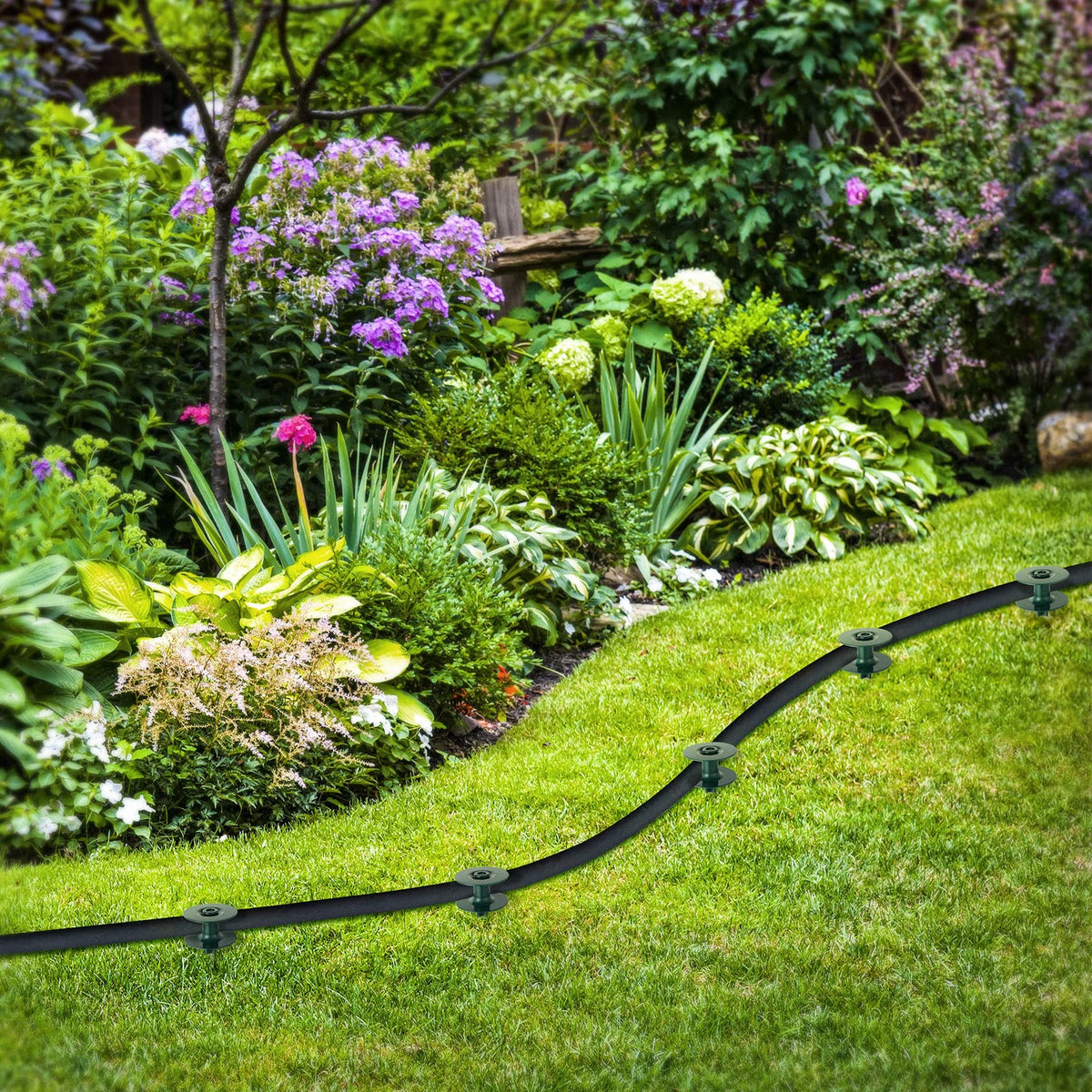 Chumia heavy-duty stake guards turf and plant beds during watering