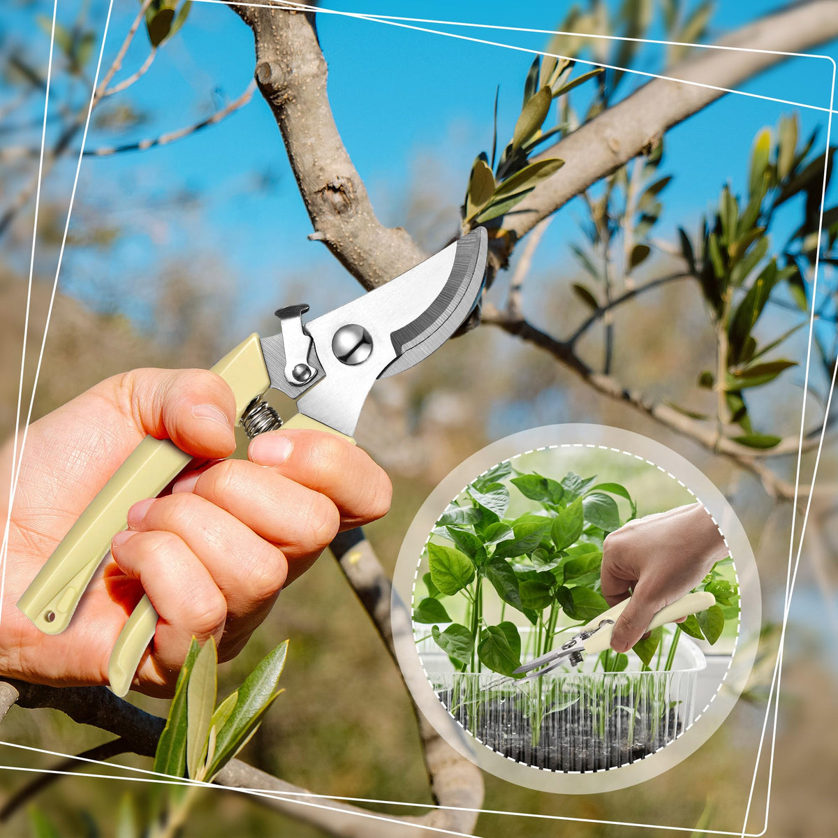 Chumia multifunctional gardening shears trim flowers, herbs, and vegetables with ease