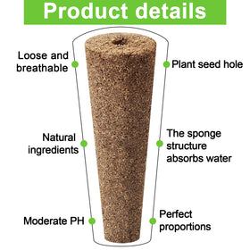 Chumia seed placement in sponge center supports efficient germination