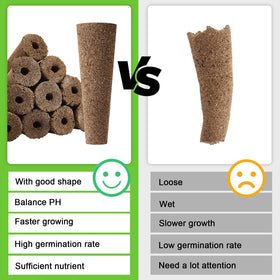 Chumia sponges used for vegetables, fruits, and flowers