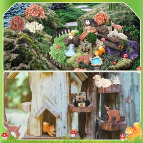 Chunful DIY miniature garden arrangement set for versatile pot, terrarium, and display ideas.