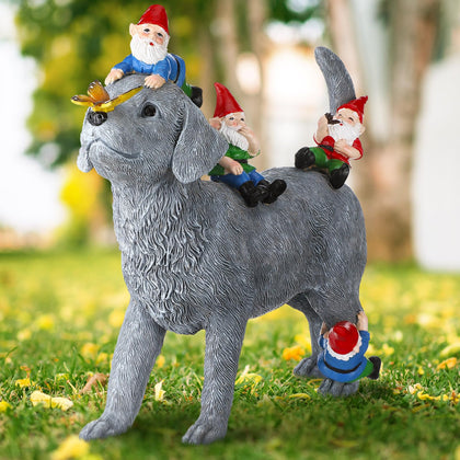 Chunful dog and gnome statue with butterfly on the nose adds whimsy to your yard.