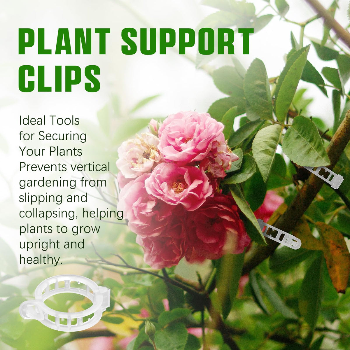 Chyaya clip design helps prevent damage to stems and leaves.