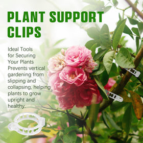 Chyaya clip design helps prevent damage to stems and leaves.