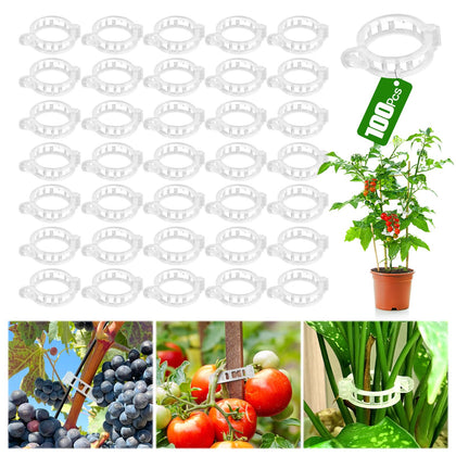 Chyaya plant clip close-up showing clear, durable grip for upright plant support.