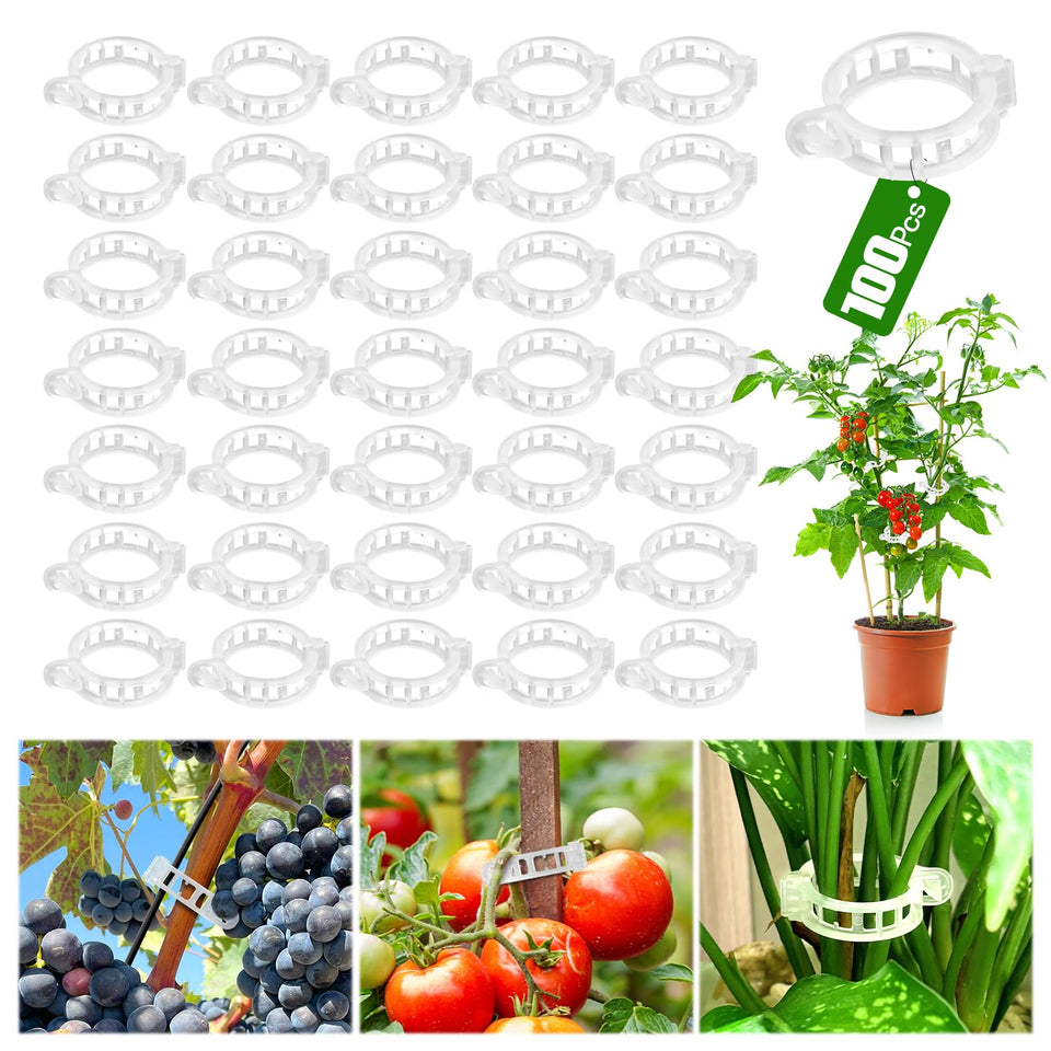 Chyaya plant clip close-up showing clear, durable grip for upright plant support.