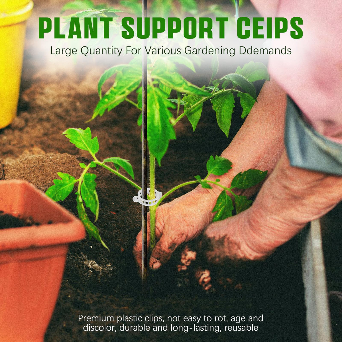 Chyaya plant clip on vines in use secures stems for healthier growth.