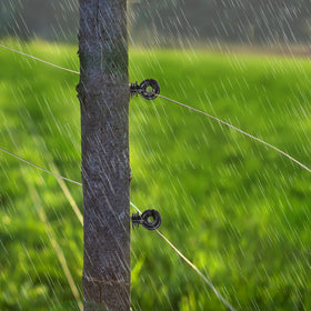 Cididu ring post insulator for wood fences supports different wire types