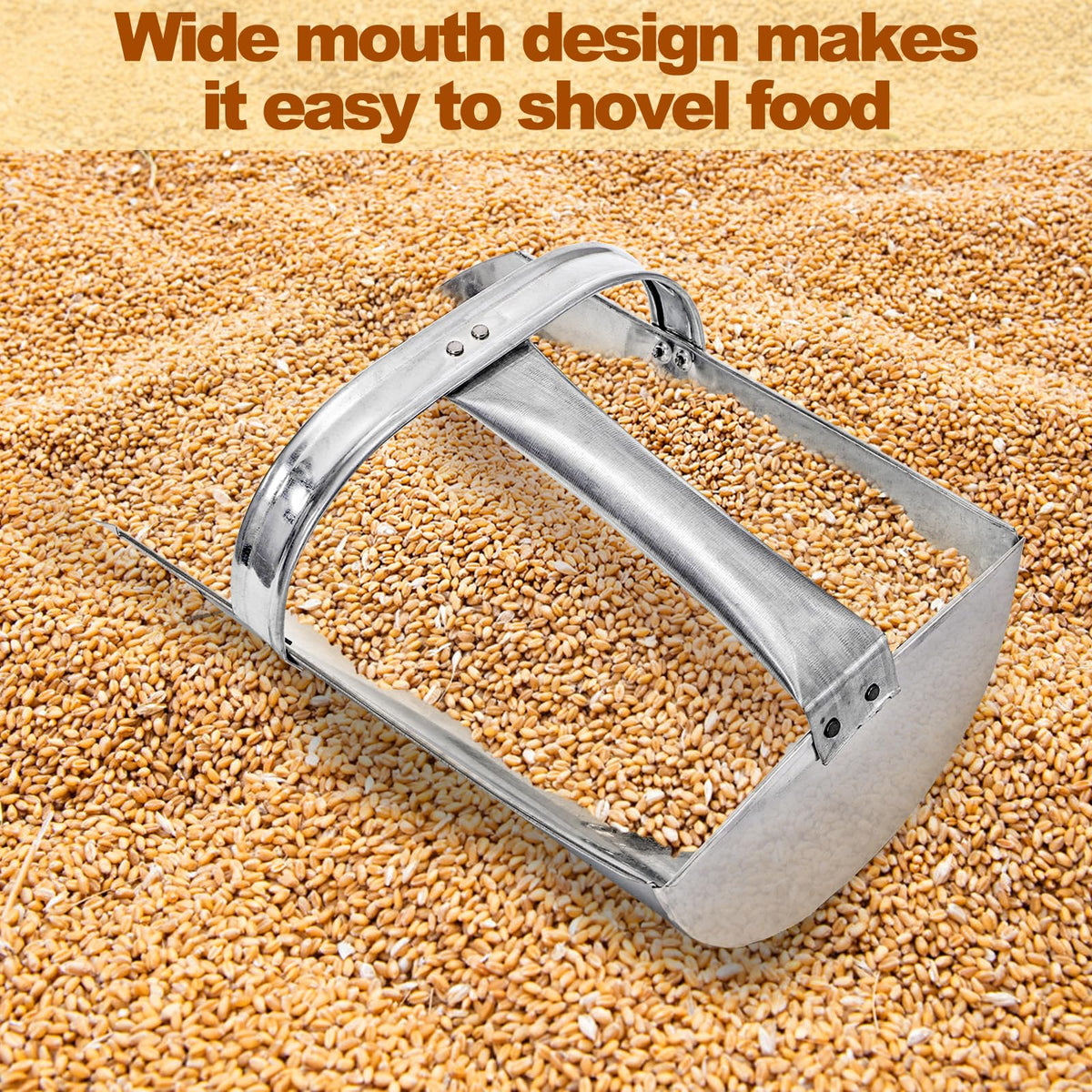 Cididu wide-mouth scoop minimizes spills while scooping grain.