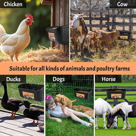 Cieex suitable for chickens, ducks, geese and other poultry.