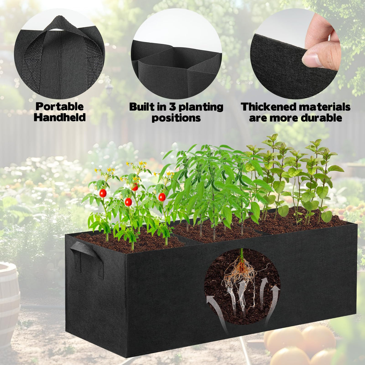 CIEOVO rectangular partition design improves root airflow and drainage.