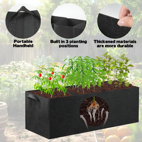CIEOVO rectangular partition design improves root airflow and drainage.