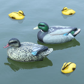 Cifavor floating mallard adults in resin for a realistic pond display