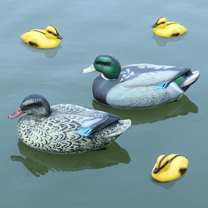 Cifavor floating mallard adults in resin for a realistic pond display