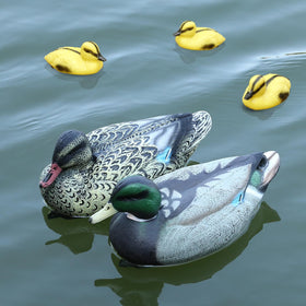 Cifavor floating mallard ducklings, three piece set, add charm to ponds