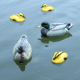Cifavor resin duck bait material for durable pond decor