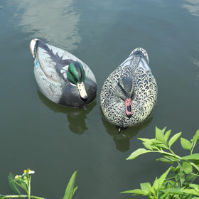 Cifavor weatherproof resin ducks withstand sun and rain