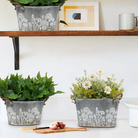 CILXGQLN planters feature rope-handle details for easy carrying and stylish display.