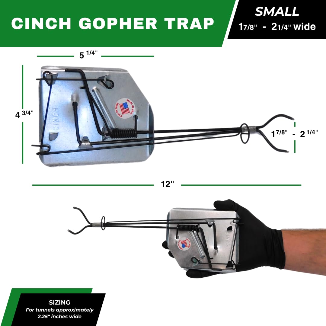 Cinch Gopher Trap small pack in use in a yard demonstrates quick, precise trapping.