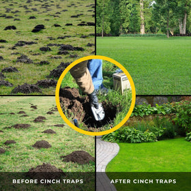 Cinch Gopher Trap small pack US-made label emphasizes quality components.