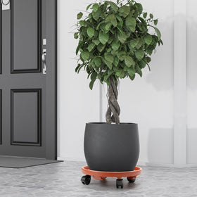 CINDALOG versatile 3-pack is great for planters, bins, and more.