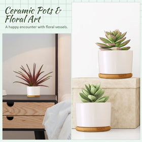 Cindeer 12-piece pot set packaging image, ready for gifting