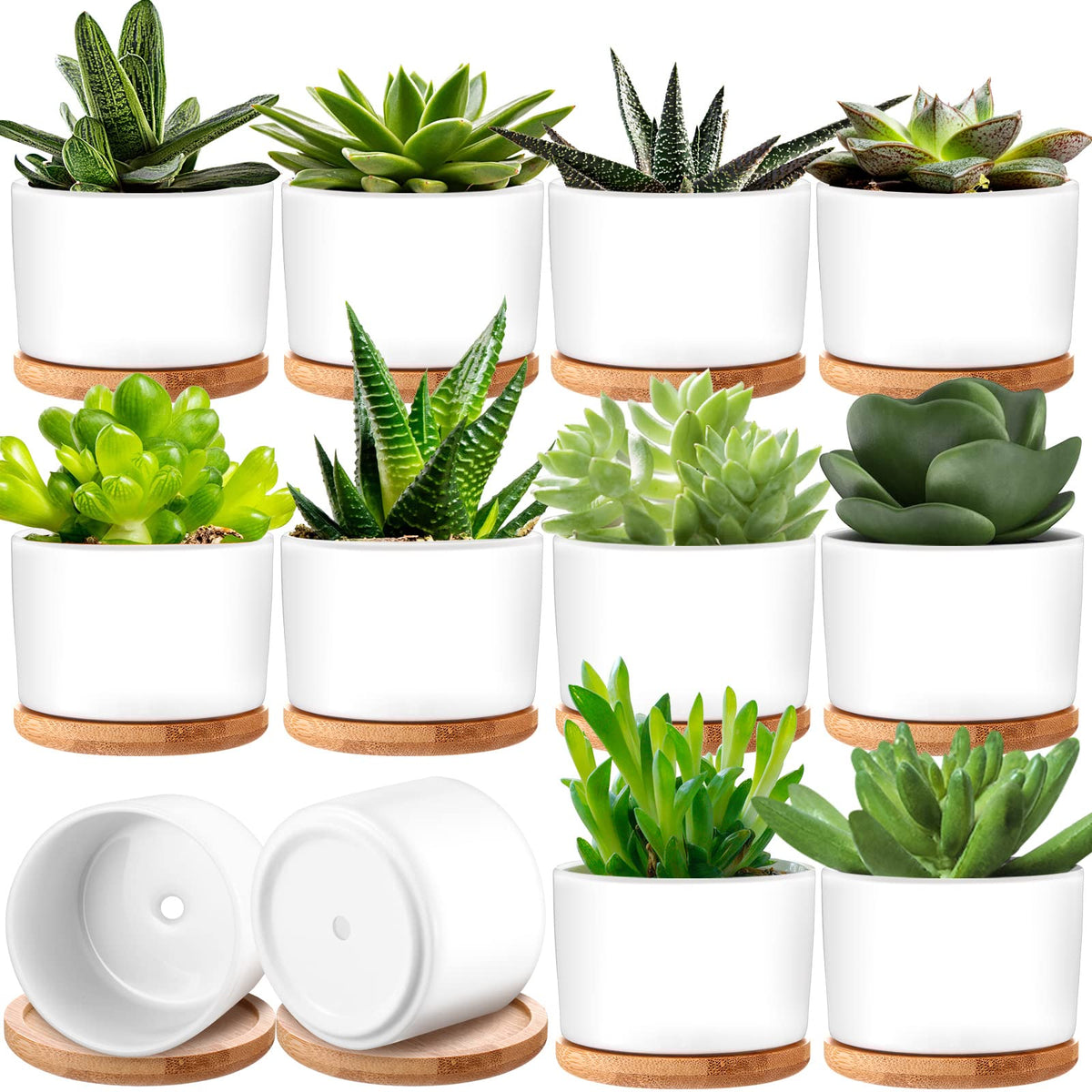 Cindeer ceramic succulent pot with white finish, compact 3x2.17 inch size for desk display